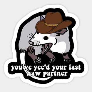 Cowboy Possum Shirt Sticker | You've yee'd your last haw | Possum Sticker | Sticker for Laptop | Funny Sticker Sticker